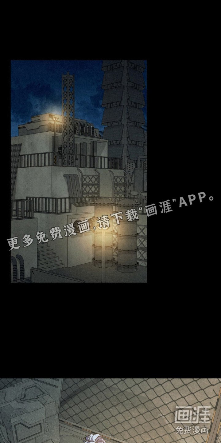 第13章：队友
