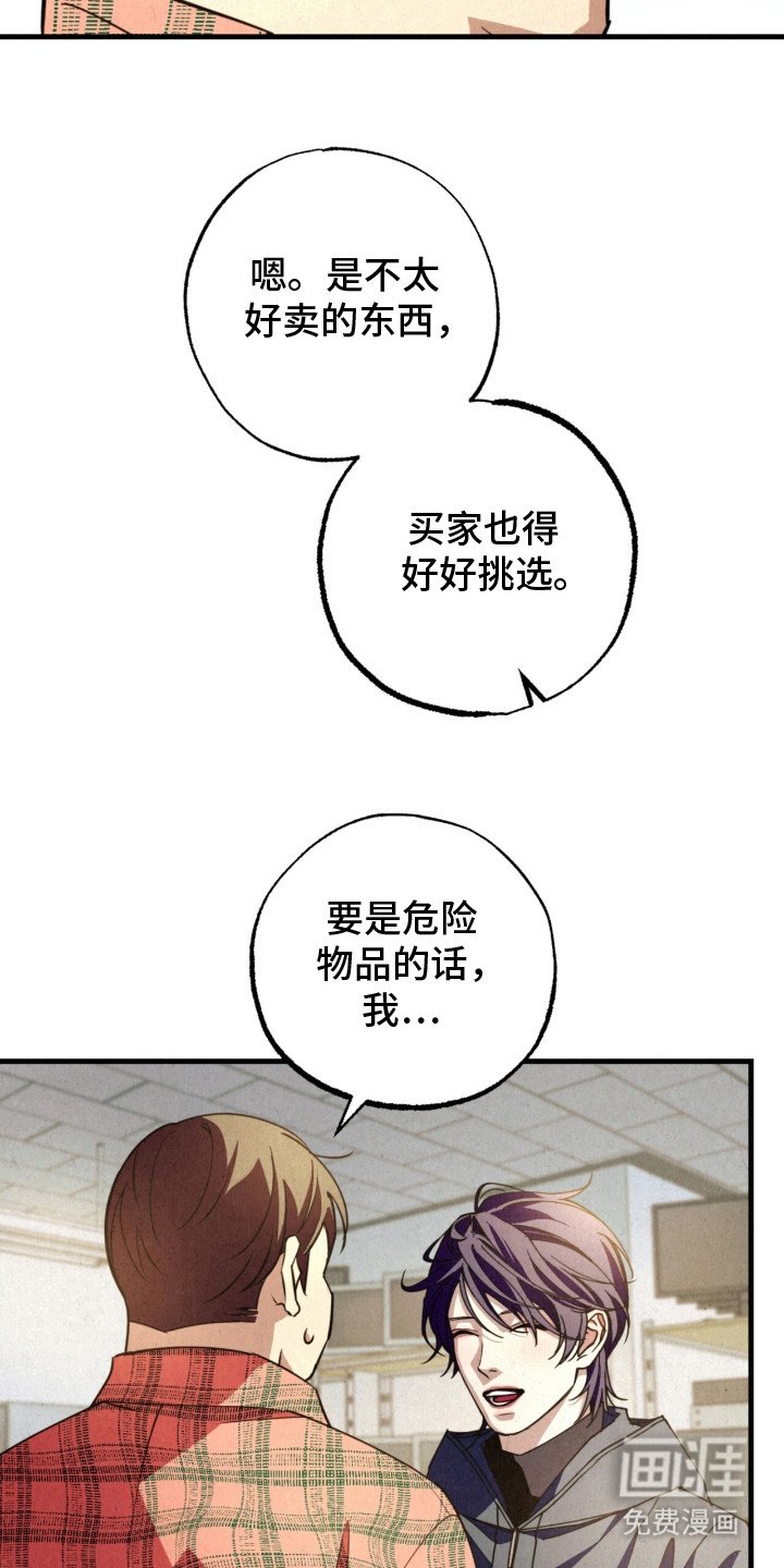 第21章：阿尔法种子