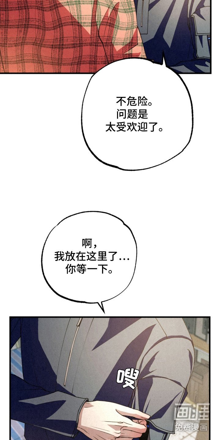 第21章：阿尔法种子
