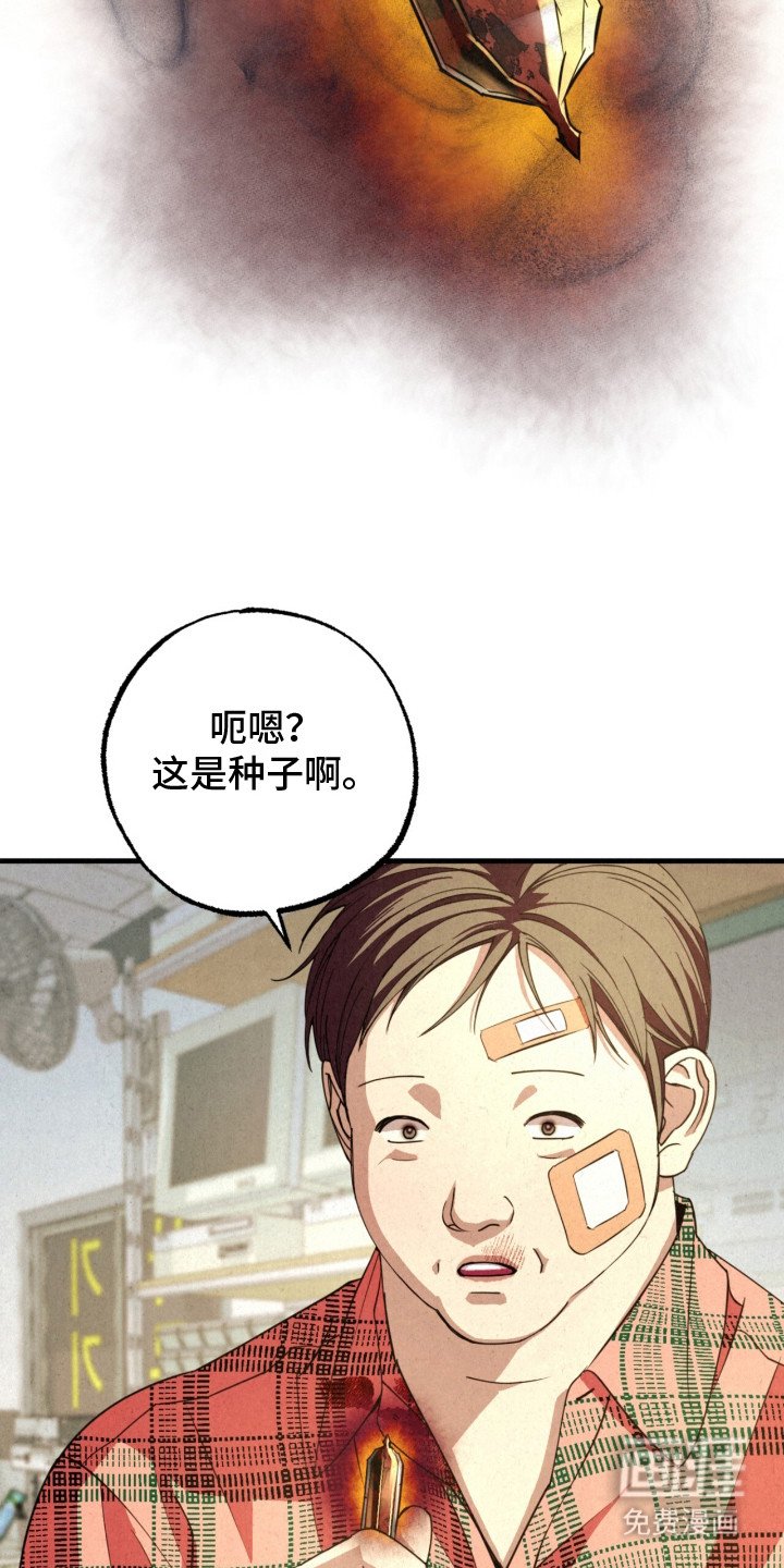 第21章：阿尔法种子