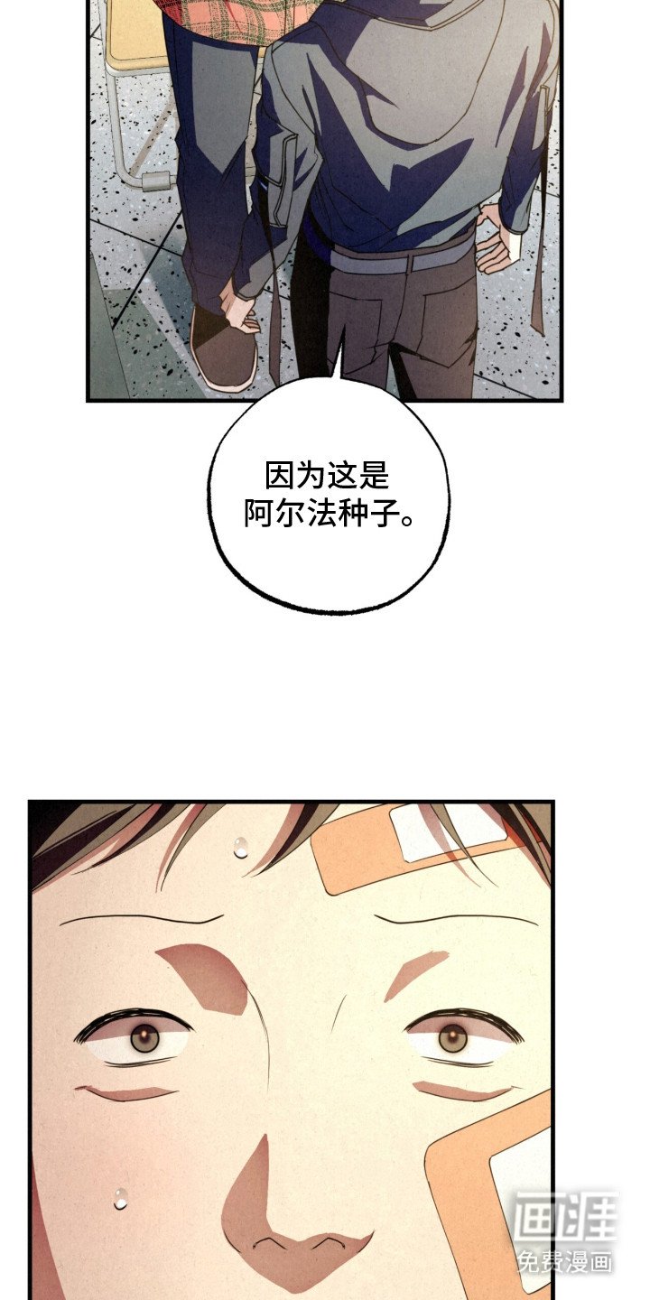 第21章：阿尔法种子