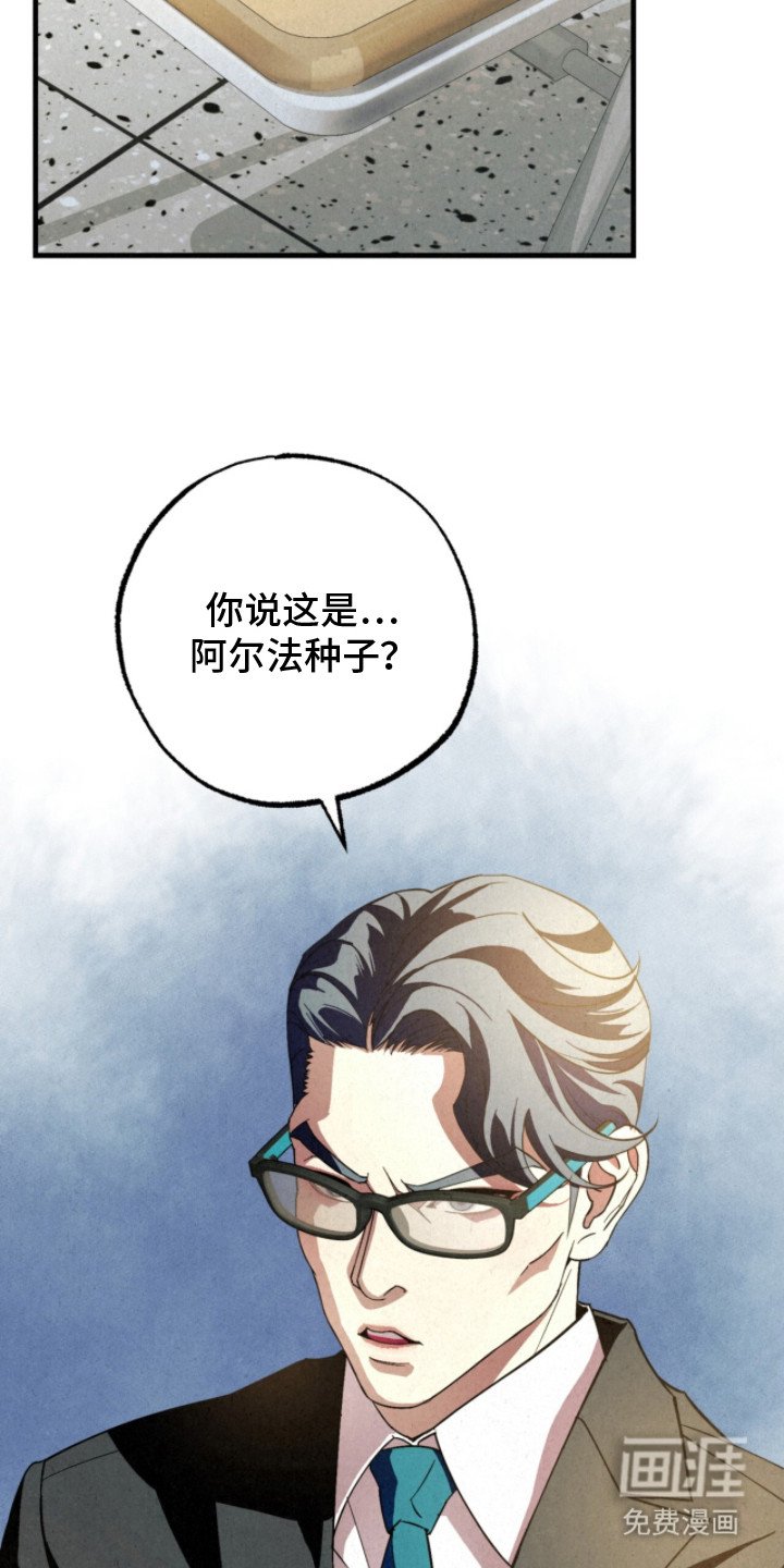 第21章：阿尔法种子