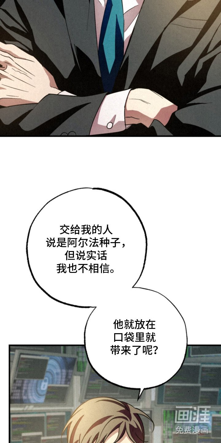 第21章：阿尔法种子