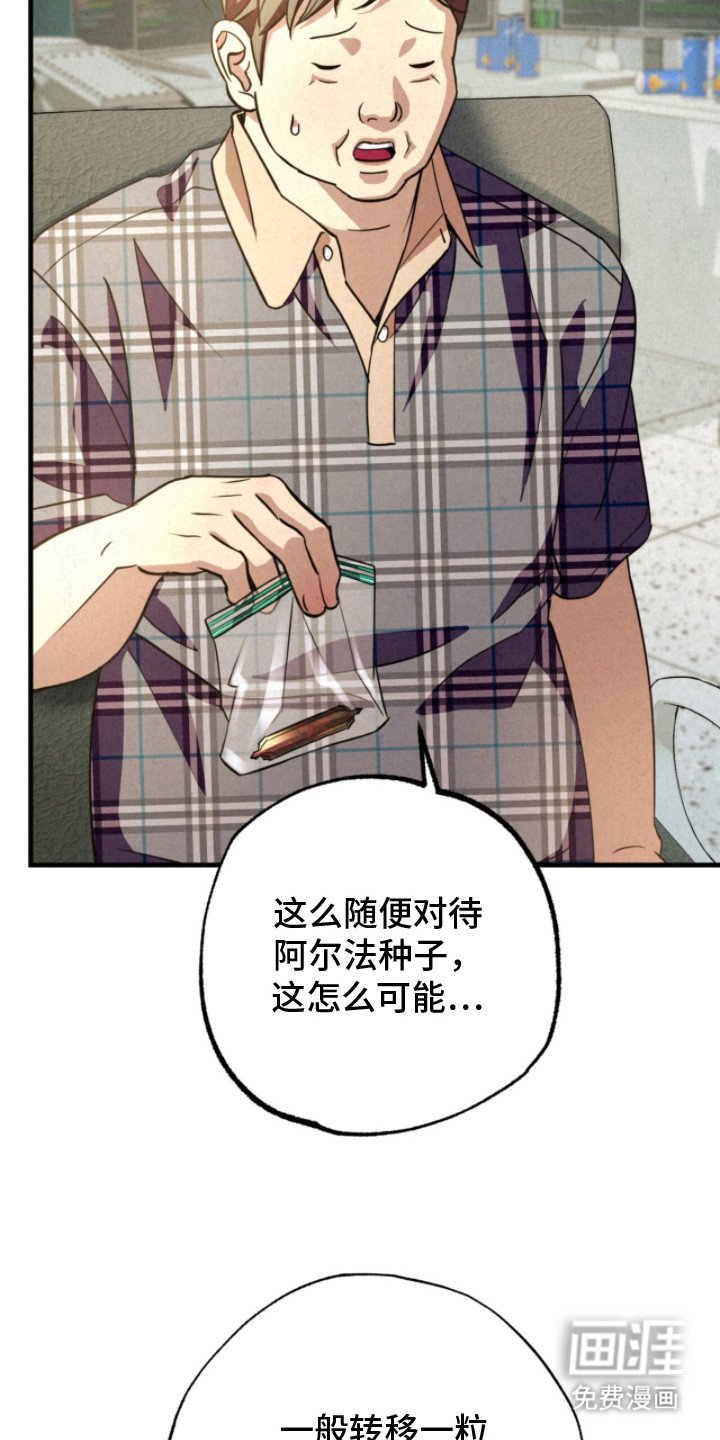 第21章：阿尔法种子