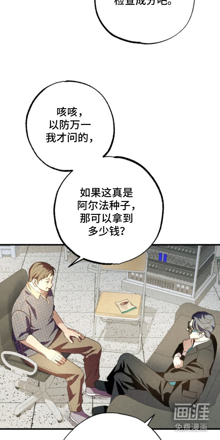 第21章：阿尔法种子