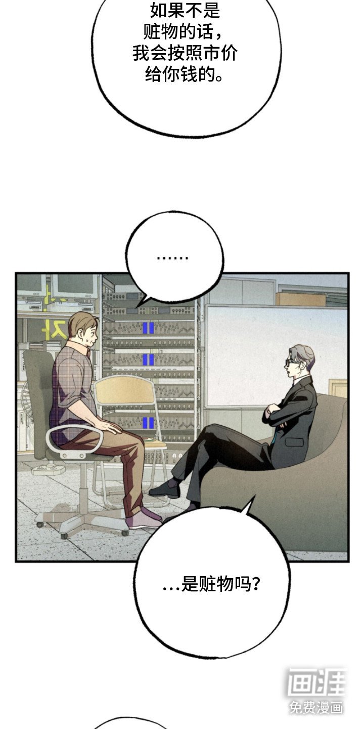 第21章：阿尔法种子