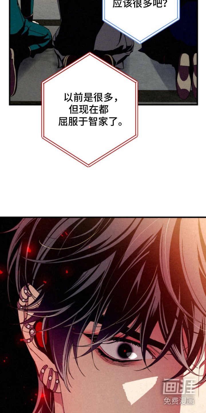 第23章：敌对家族