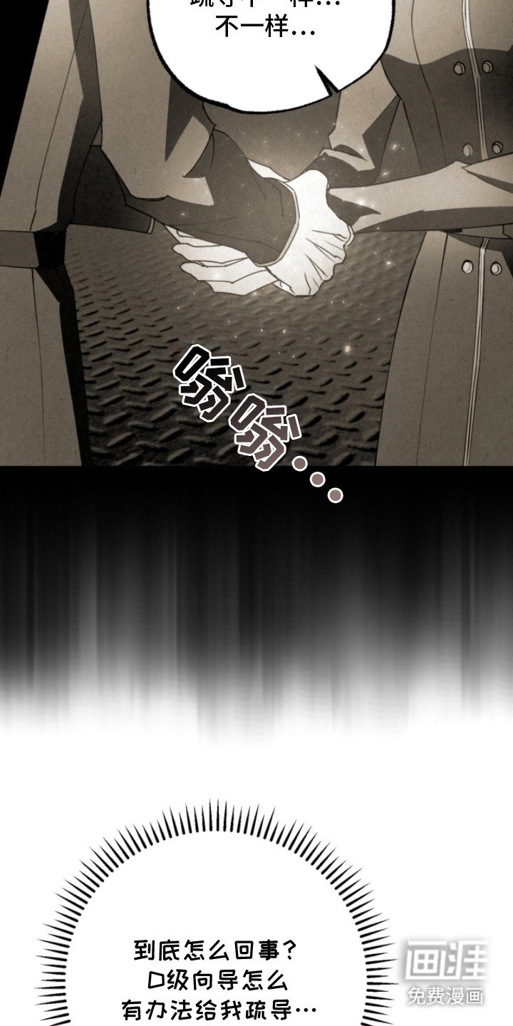 第23章：敌对家族