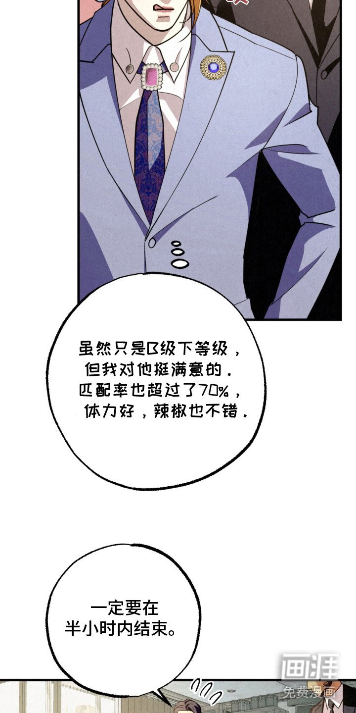 第24章：放鸽子
