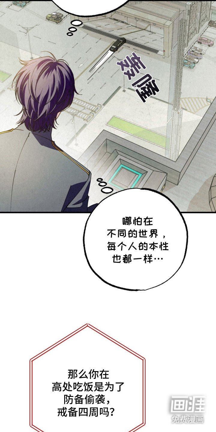 第25章：一见钟情