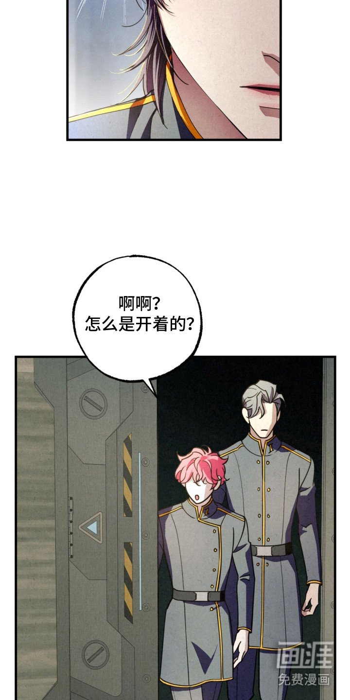 第25章：一见钟情