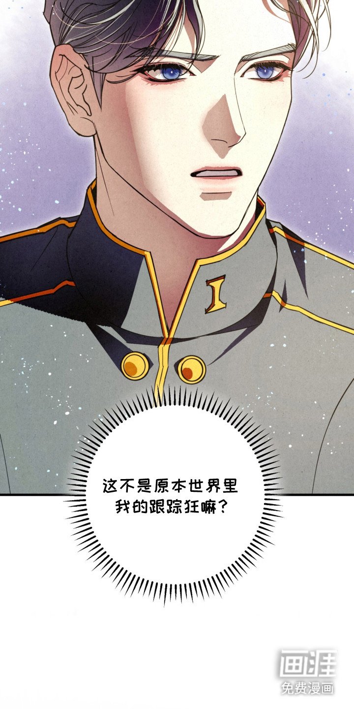 第25章：一见钟情