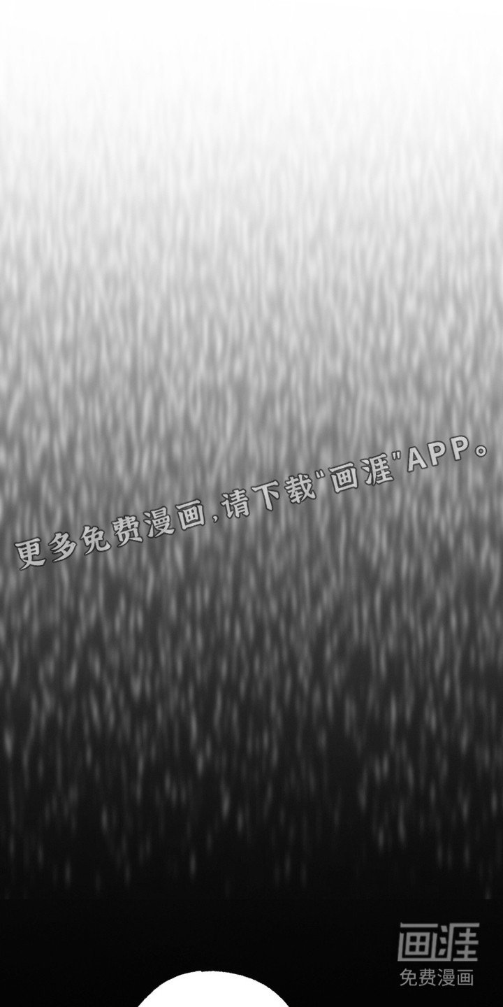 第25章：一见钟情