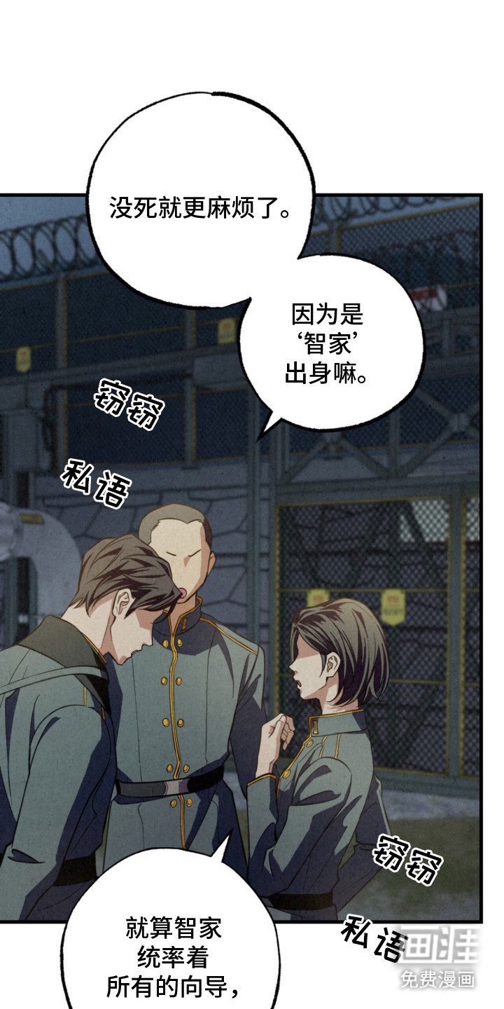 第3章：不是梦