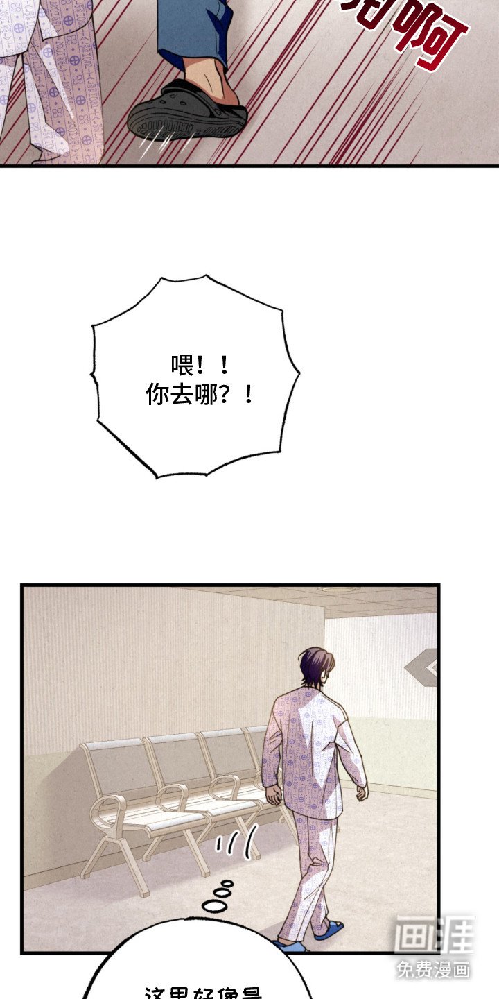 第3章：不是梦