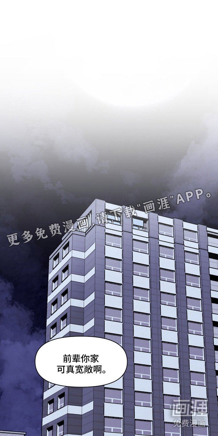 第4章：不是偶然