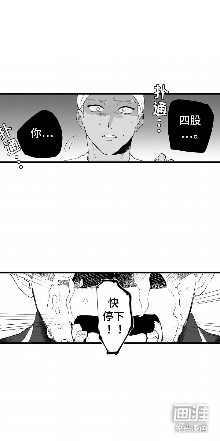 第12章：庆典