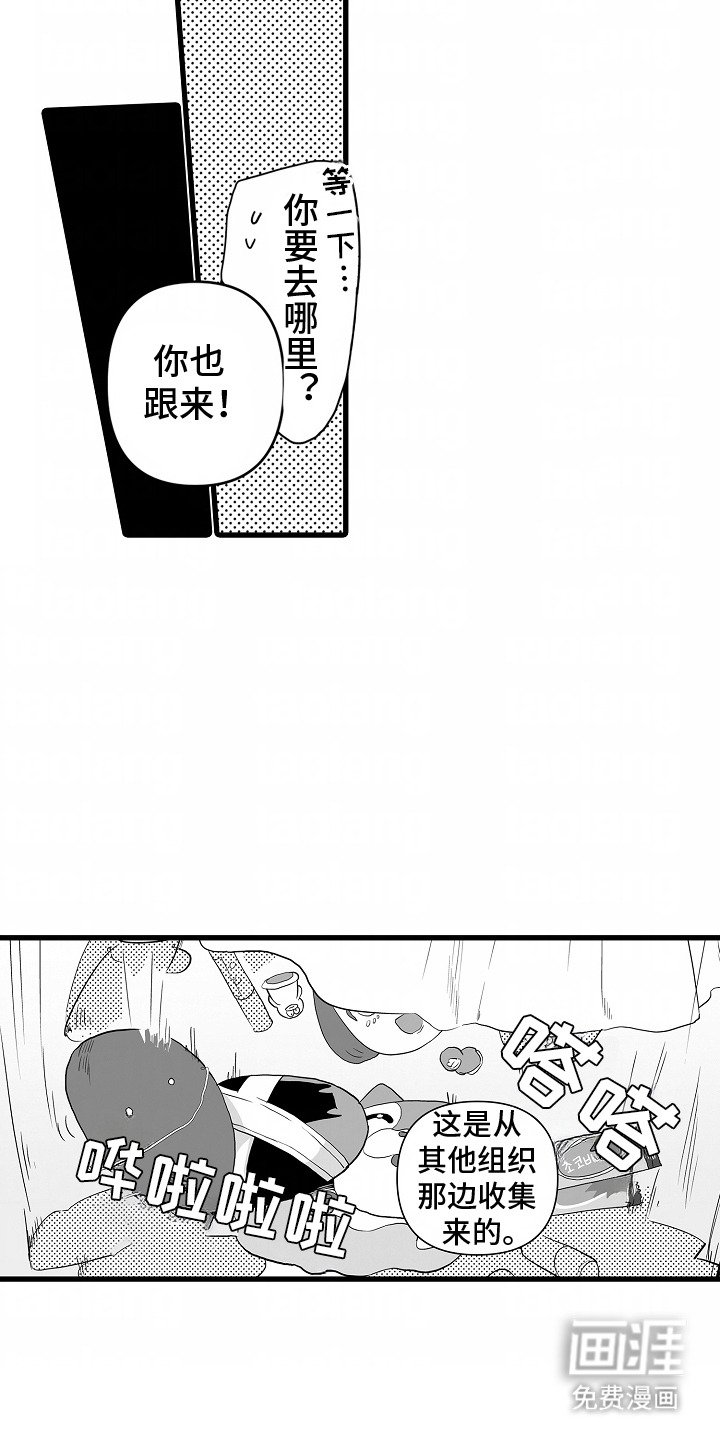 第14章：赠品