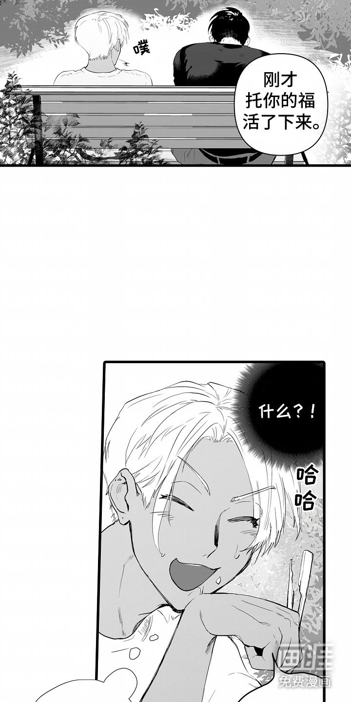 第14章：赠品