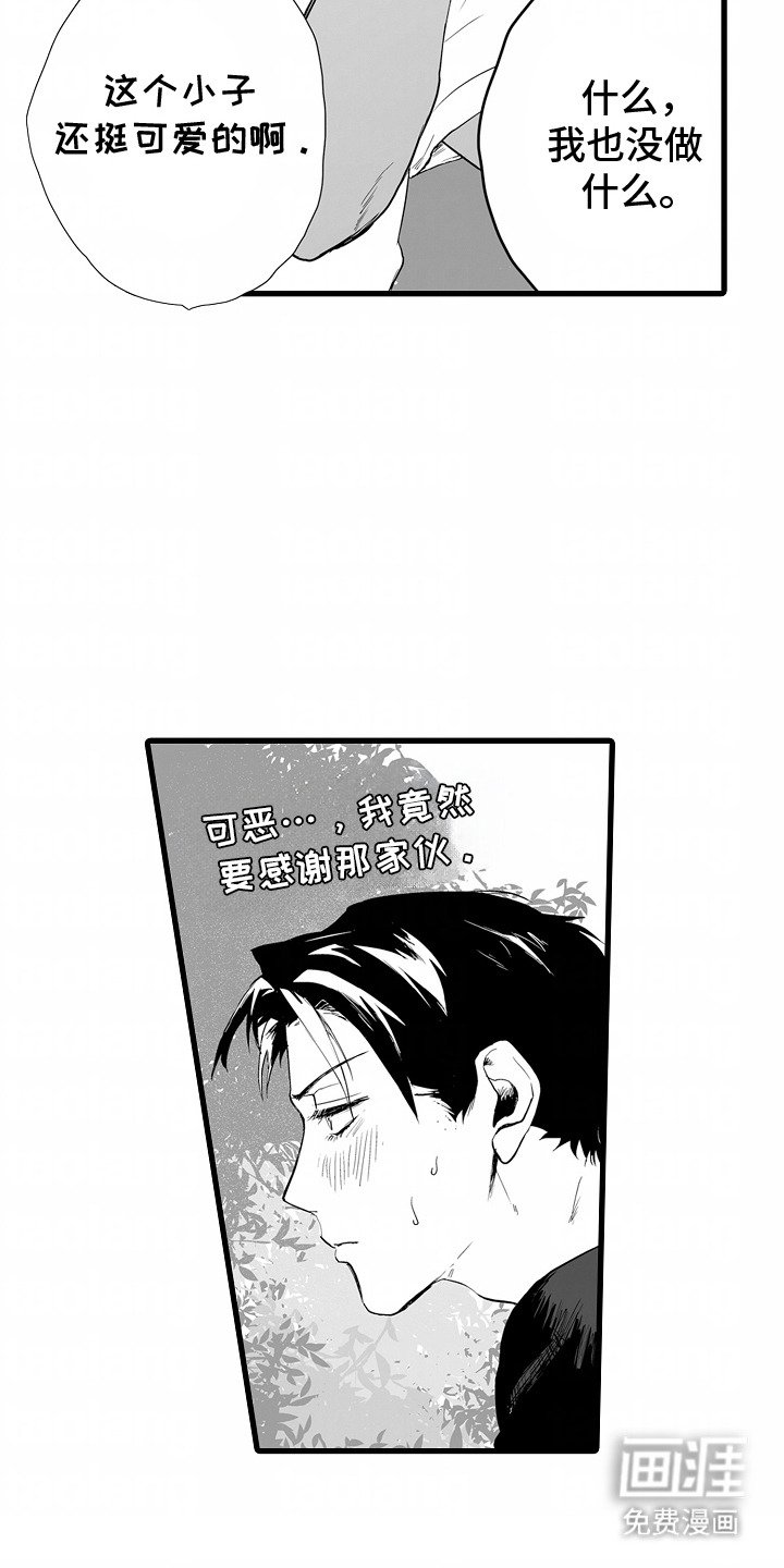 第14章：赠品