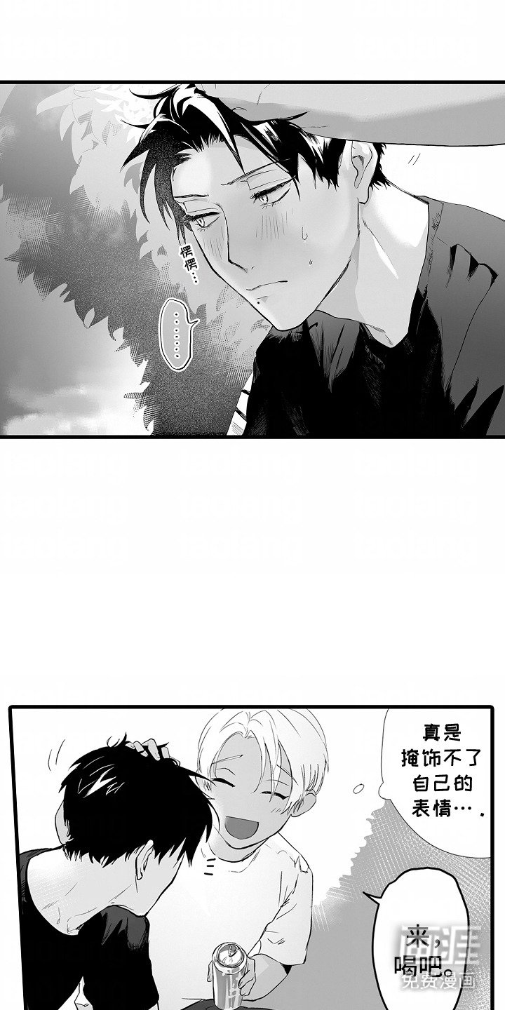 第14章：赠品