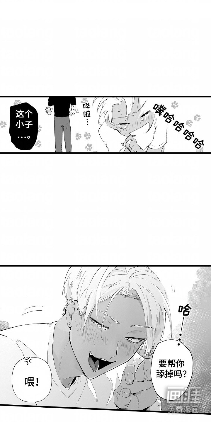 第14章：赠品