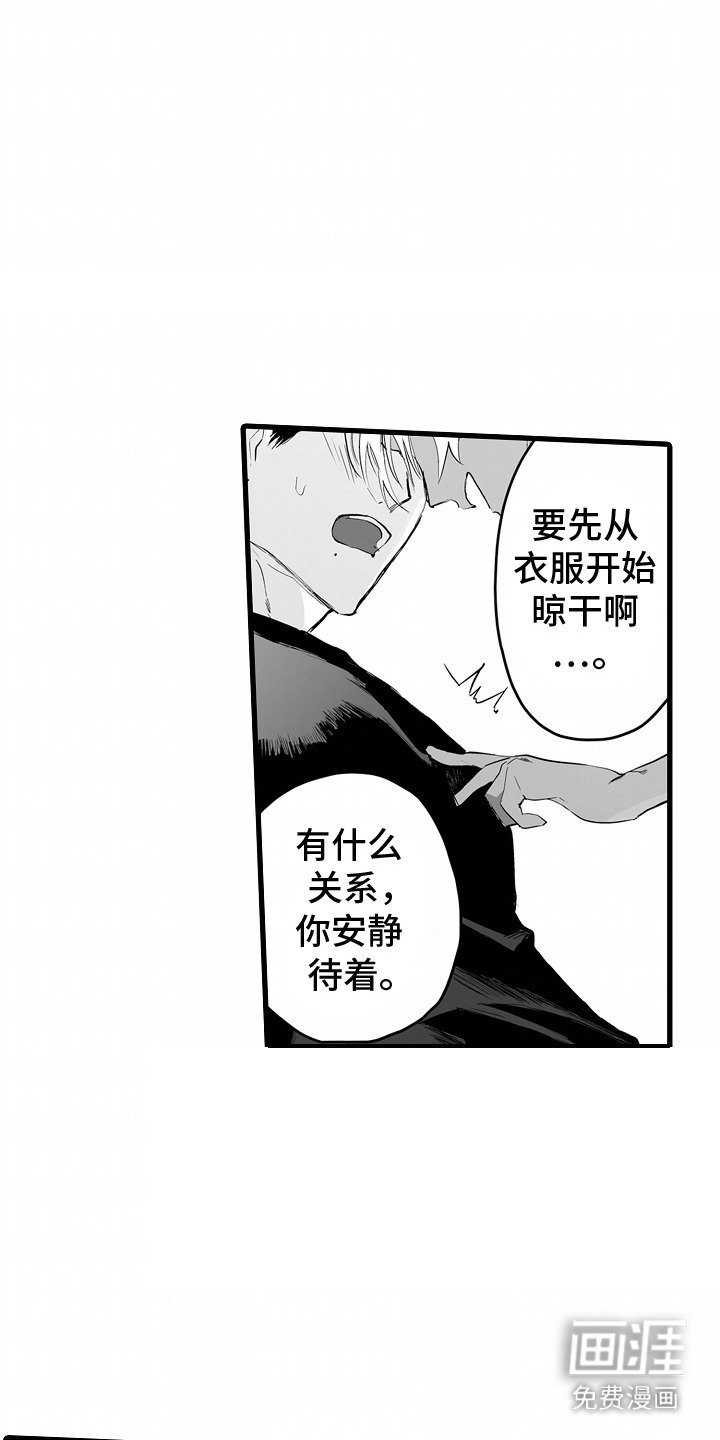 第14章：赠品
