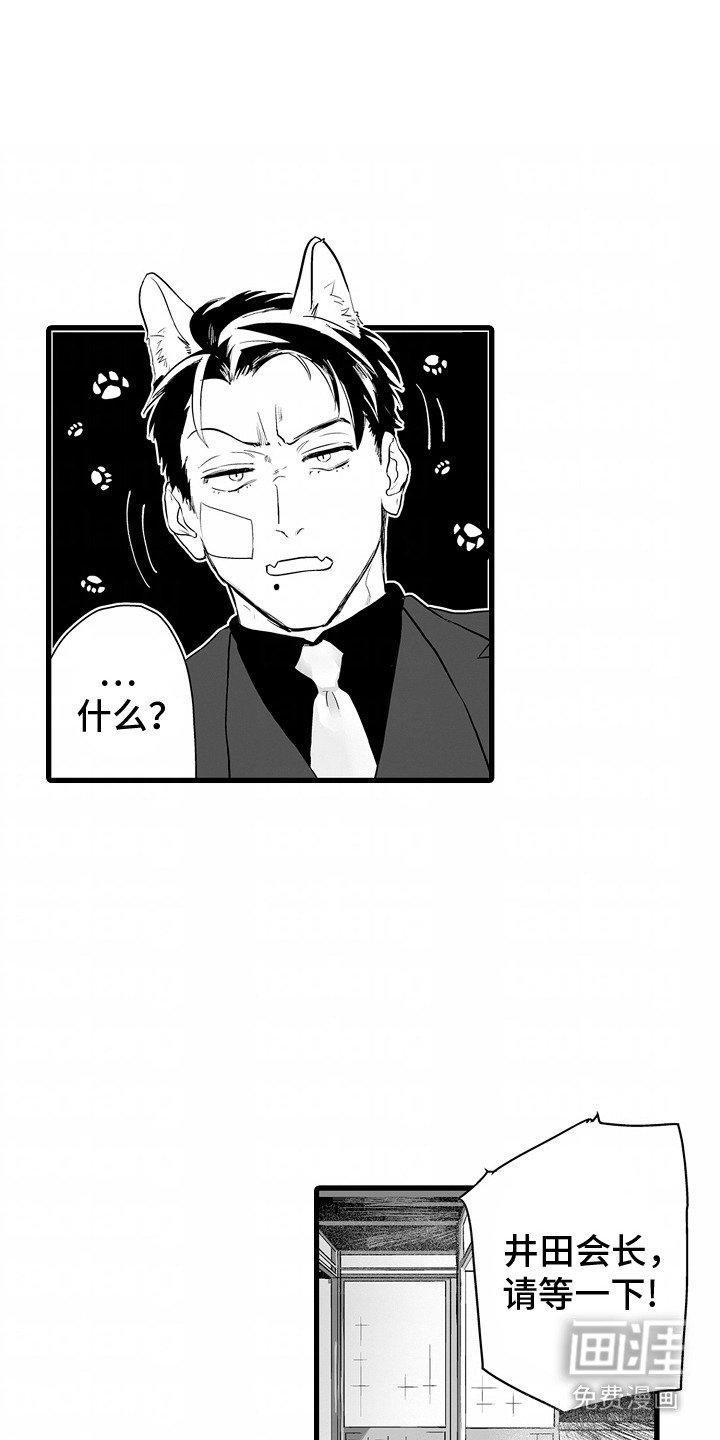 第3章：别无选择