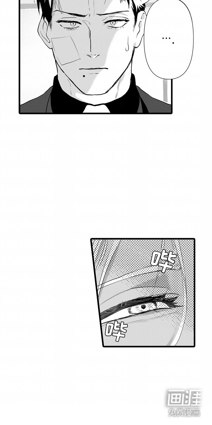 第3章：别无选择