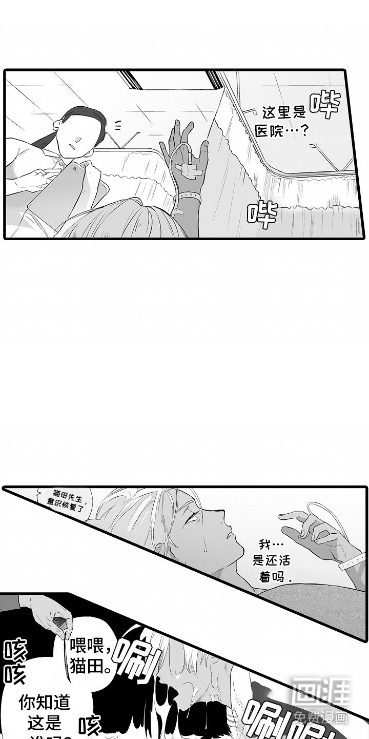 第3章：别无选择