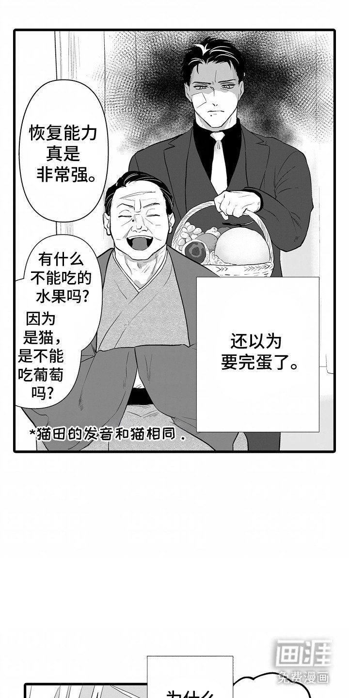 第3章：别无选择