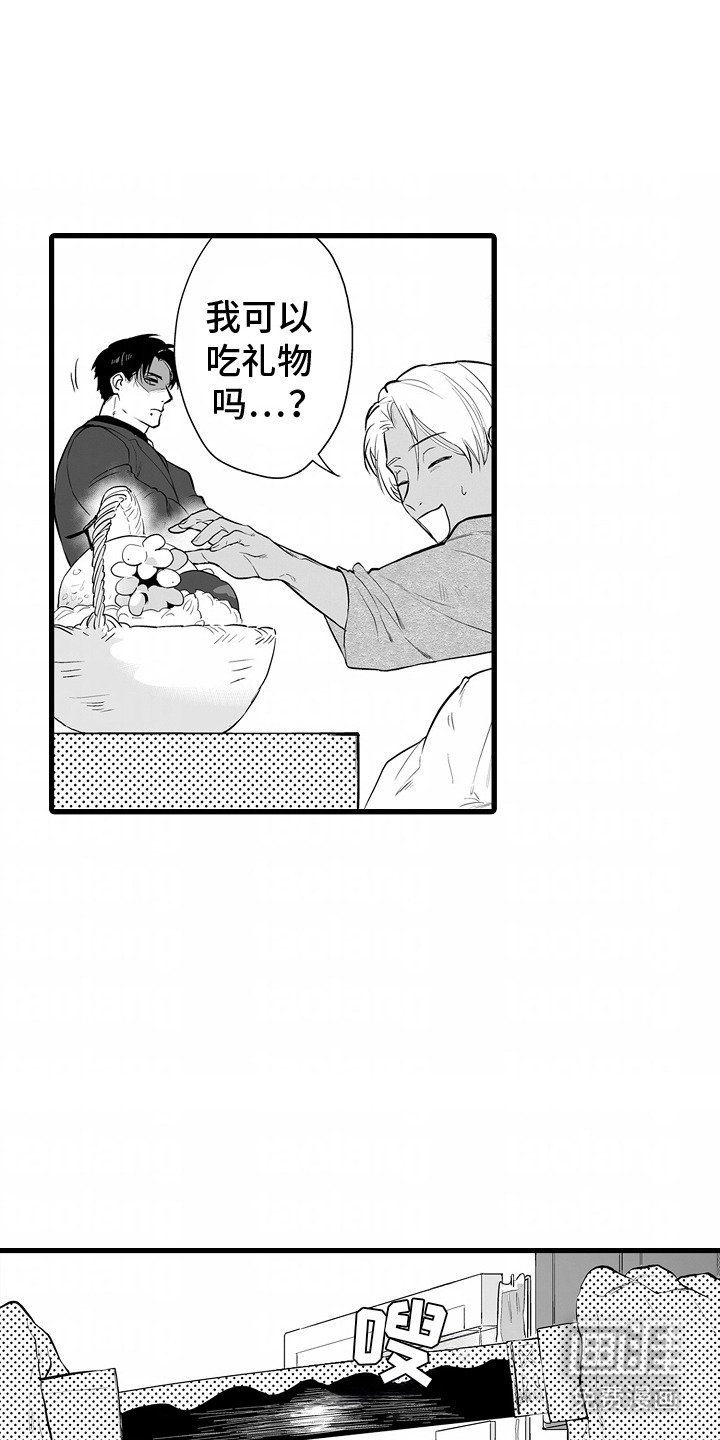 第4章：照顾