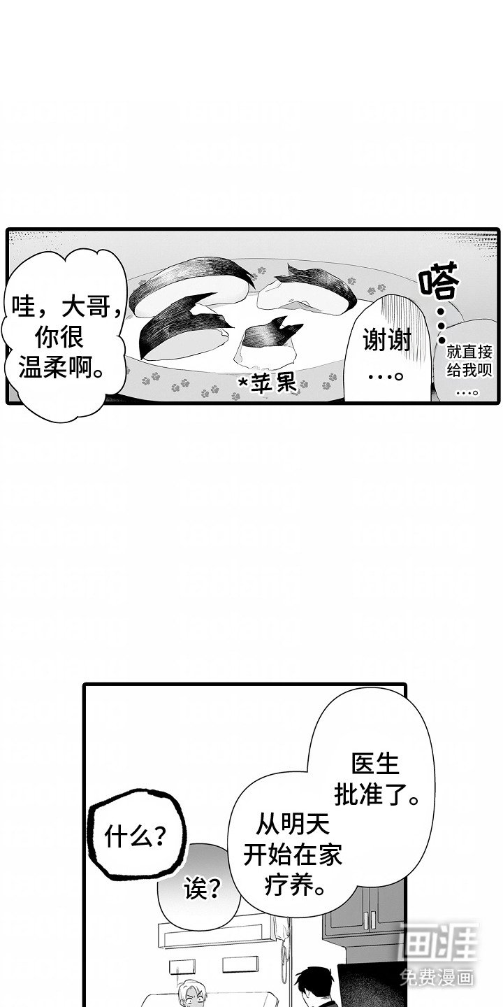 第4章：照顾