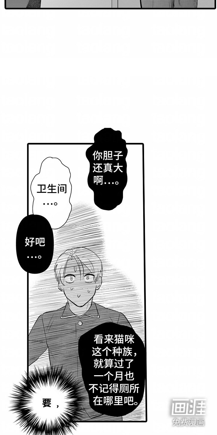 第5章：失礼了