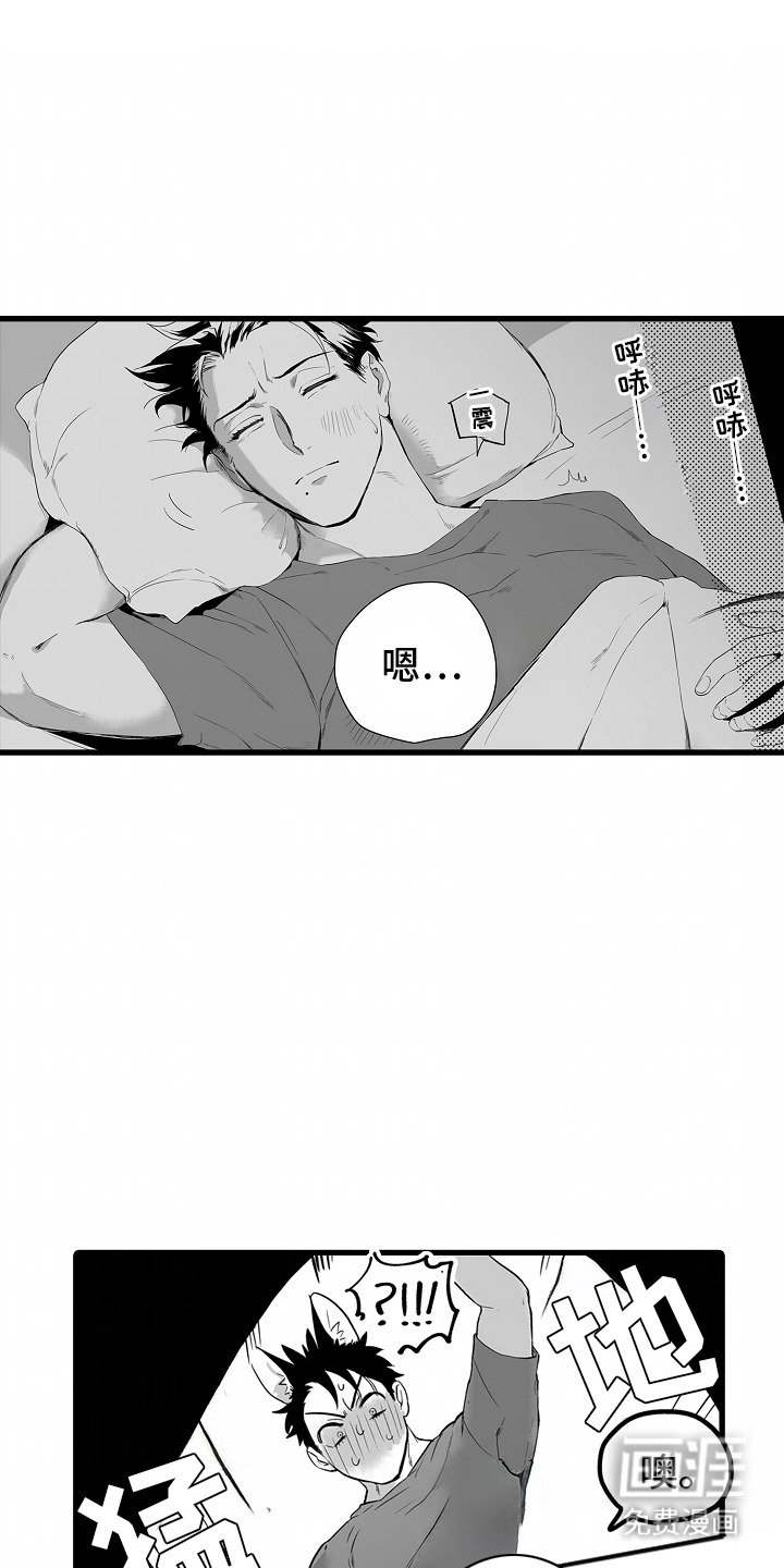 第6章：期待