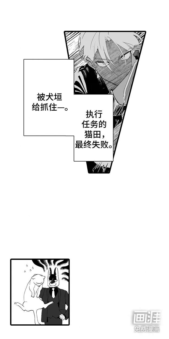 第6章：期待