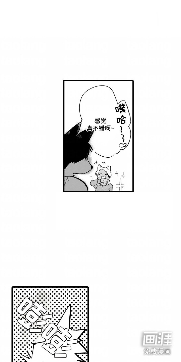 第6章：期待