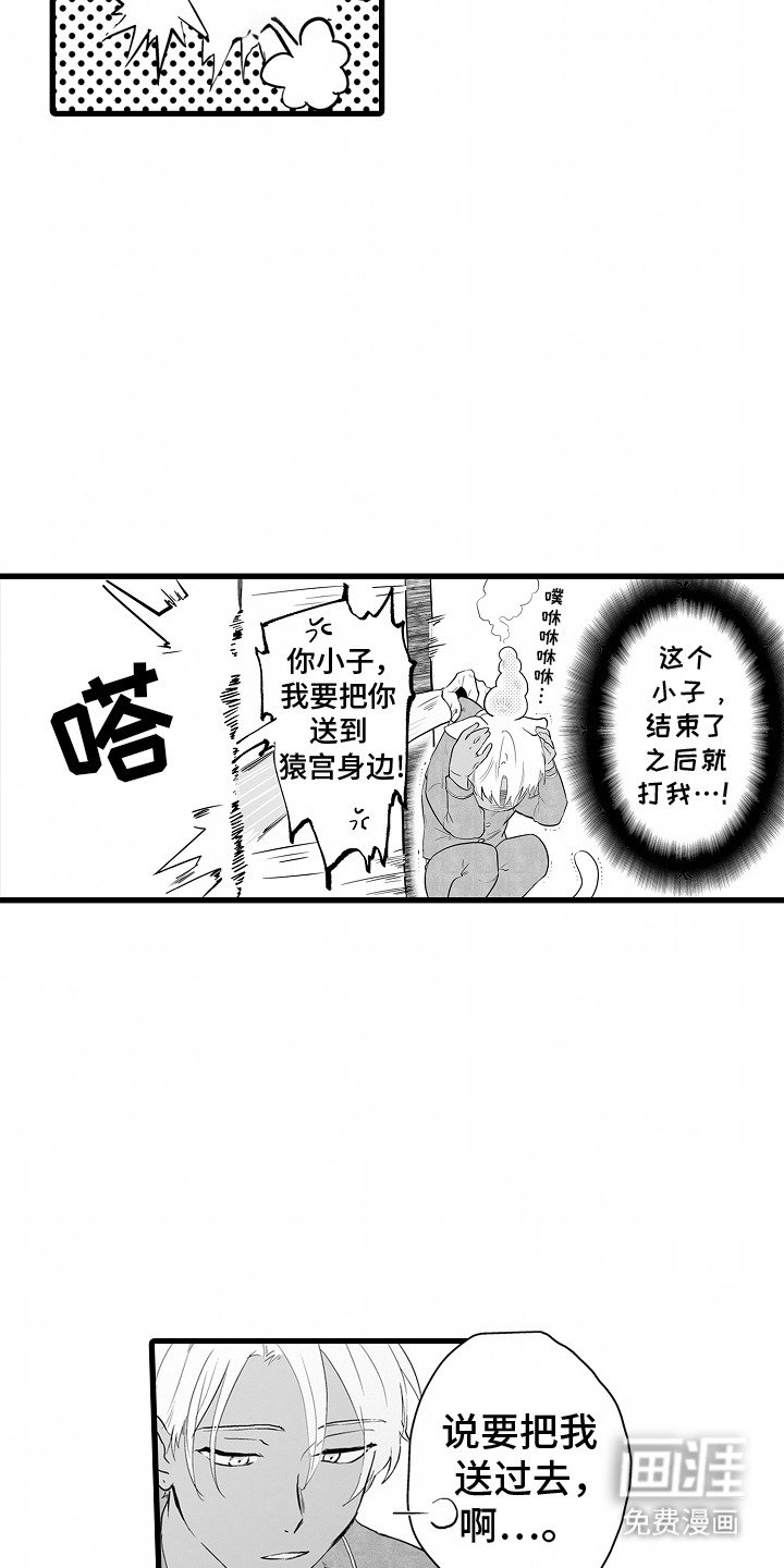 第6章：期待