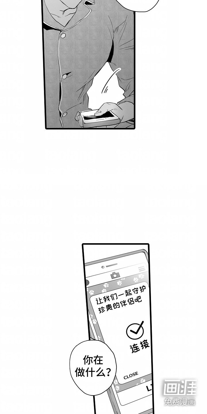 第6章：期待