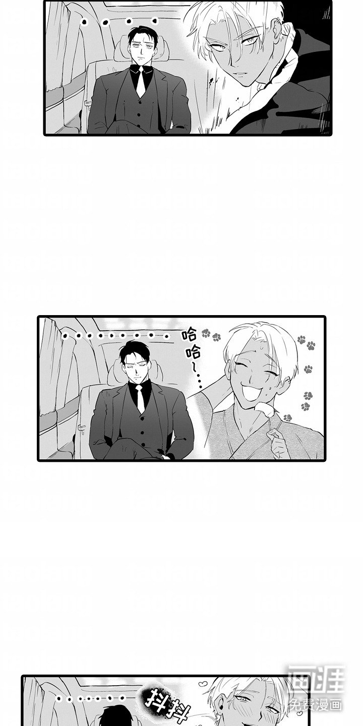 第6章：期待