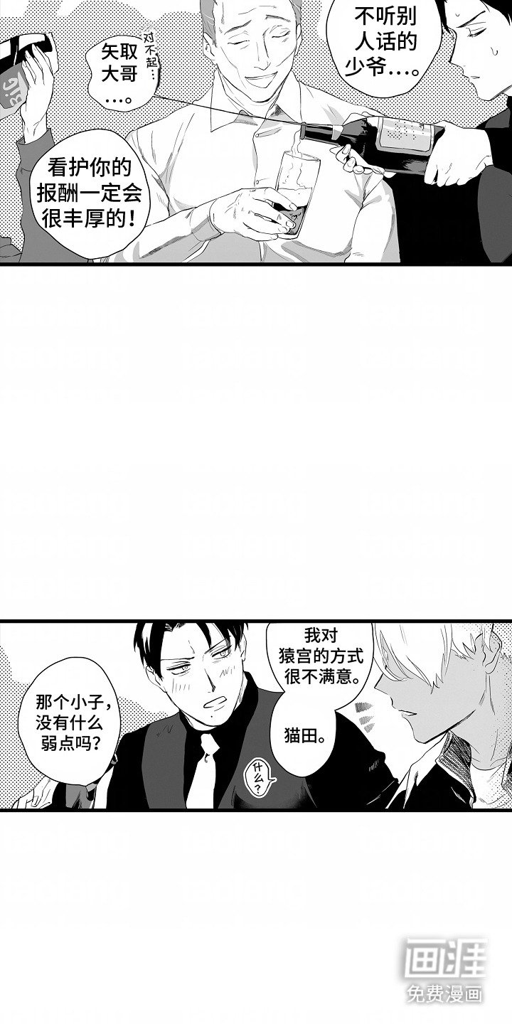 第8章：加入组织