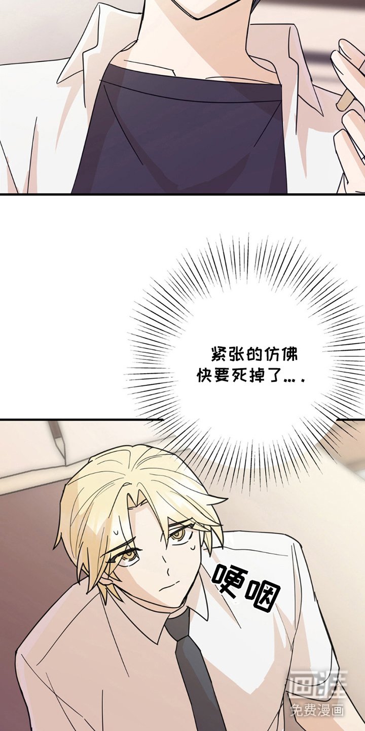 第10章：像电影一样