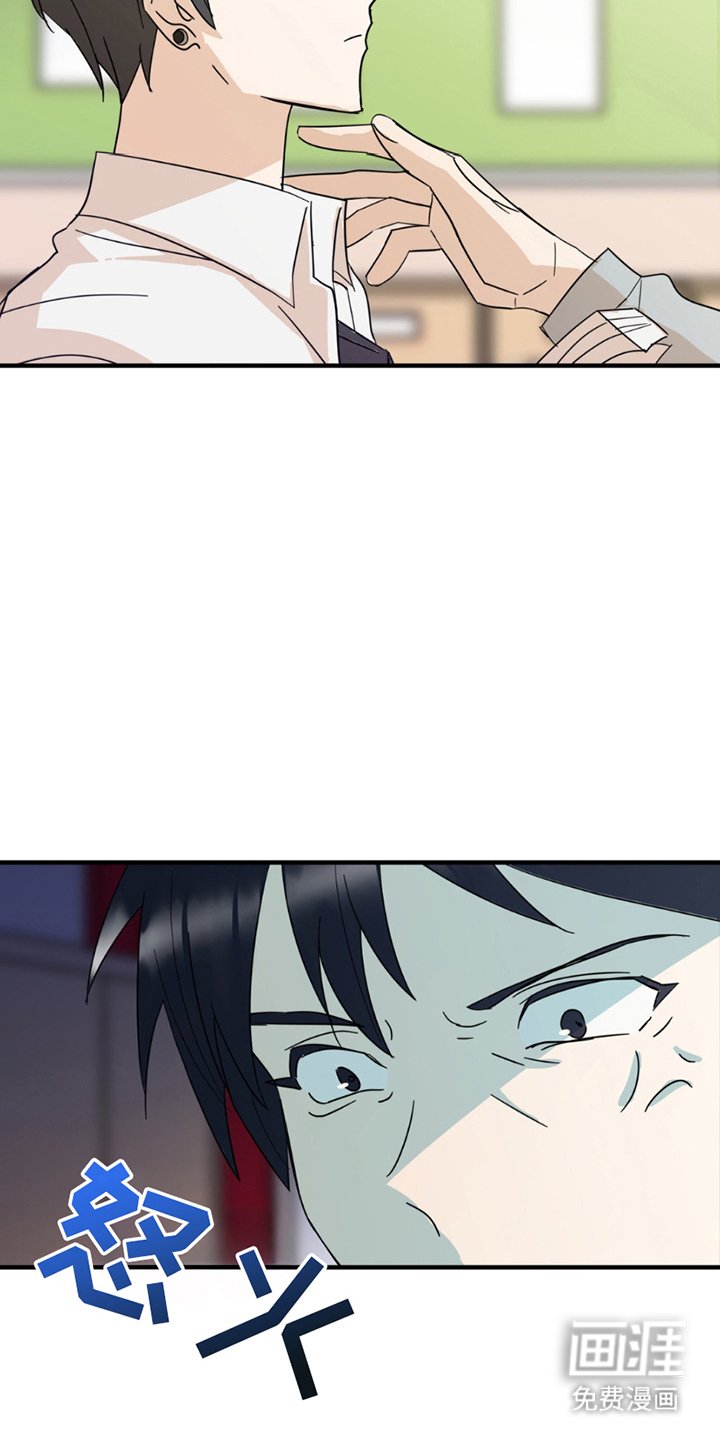 第13章：申请书