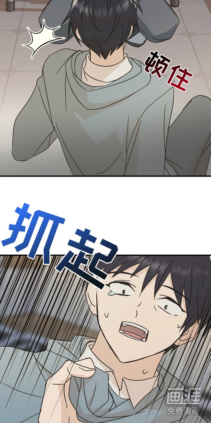 第13章：申请书