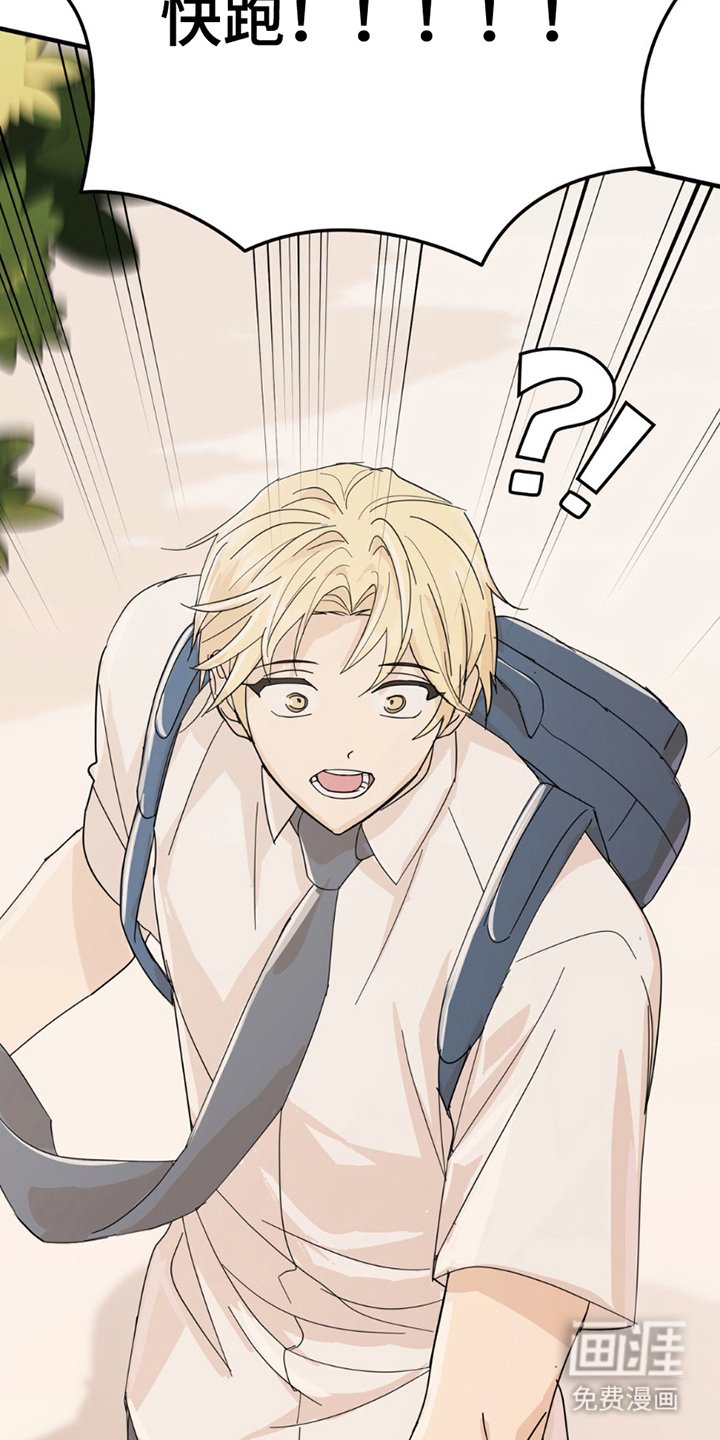 第17章：逃跑