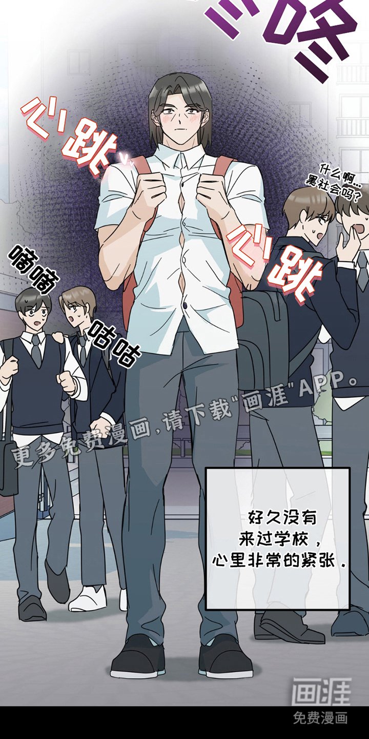 第19章：真相