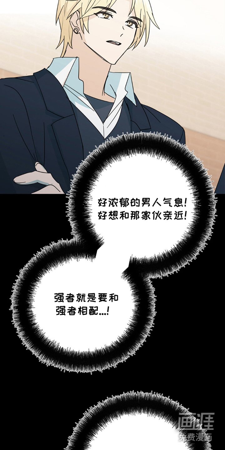第19章：真相