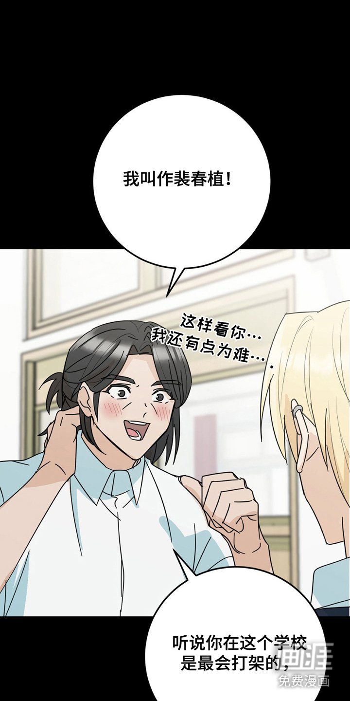 第19章：真相