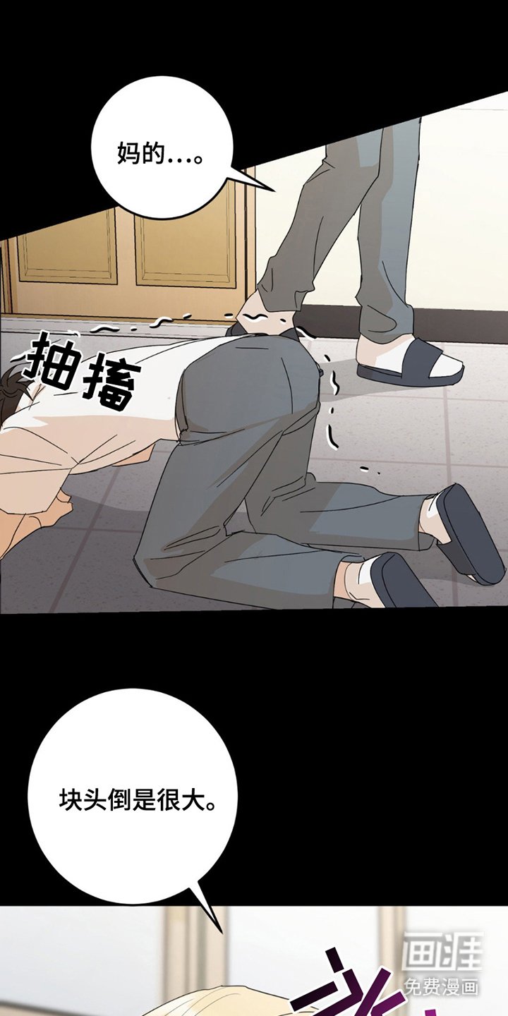 第19章：真相