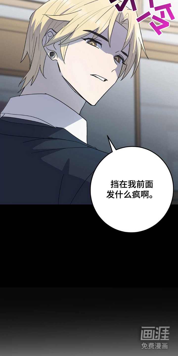 第19章：真相
